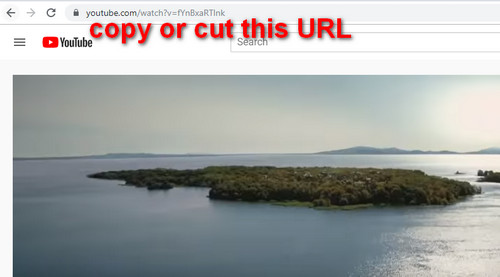 Copy YouTube URL