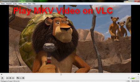 Play MKV Files on VLC