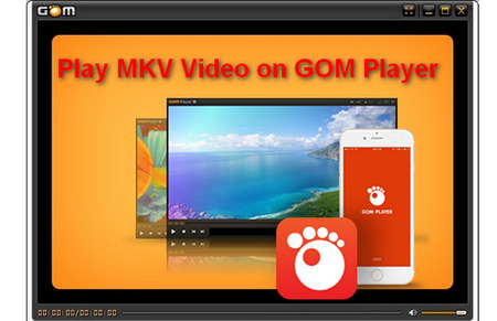 GOM MKV Video Player