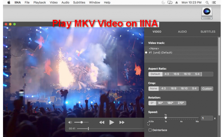IINA MKV File Player