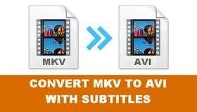 MKV to AVI with Subtitles