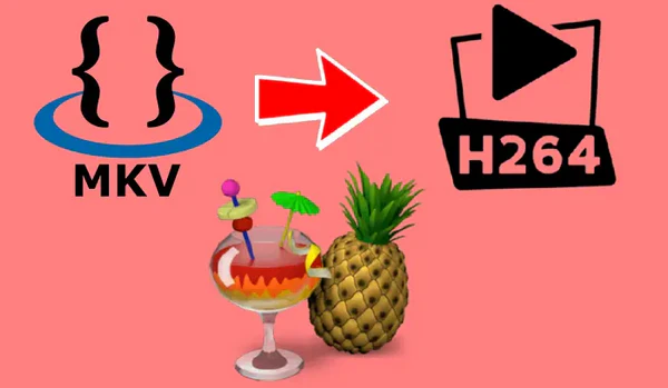 Convert MKV to H.264 Free 