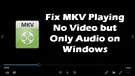 MKV No Video