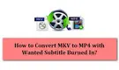 MKV to MP4 with Subtitles