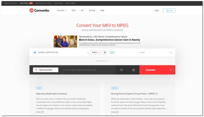Online MKV to MPEG2 Converter