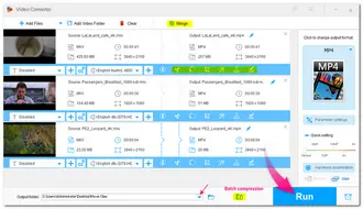 Start the MKV MPEG4 Conversion