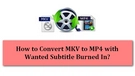 MKV to MP4 with Subtitles