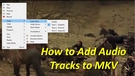 Add Audio Track to MKV