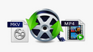 Convert MKV to MP4