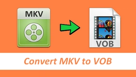 MKV to VOB