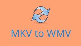 MKV to WMV