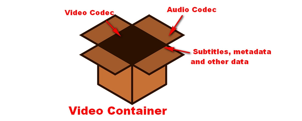 Container vs. Codec