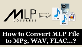 MLP Converter