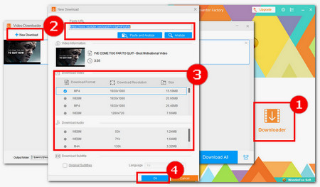 Step 2. Paste and Analyze the Link in Video Downloader