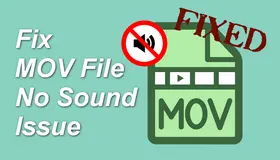 MOV File No Sound