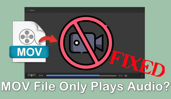 MOV File Only Plays Audio No Video