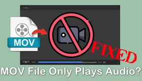 MOV File Only Plays Audio