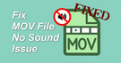 Fix MOV File No Sound