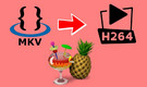 Convert MKV to H.264