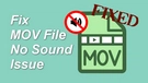 MOV File No Sound