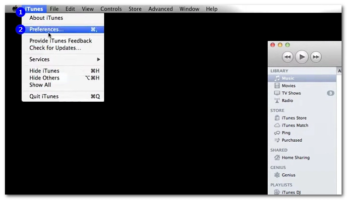 Open Preferences in iTunes