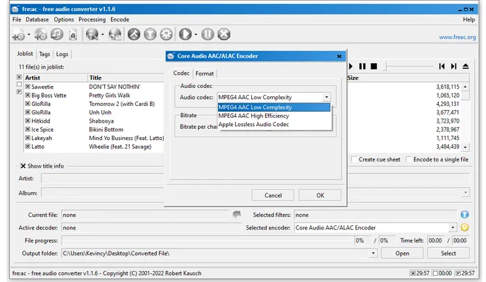 fre:ac MP3 to M4A Converter Download