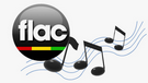 FLAC Merger