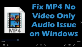 MP4 Only Plays Audio