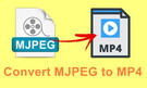 Convert MJPEG to MP4