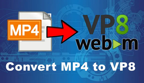 Best MP4 to VP8 Converter