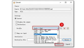 VLC Convert MP4 Video to WebM