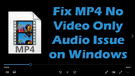 Fix MP4 Only Plays Audio