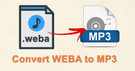 Convert WEBA to MP3