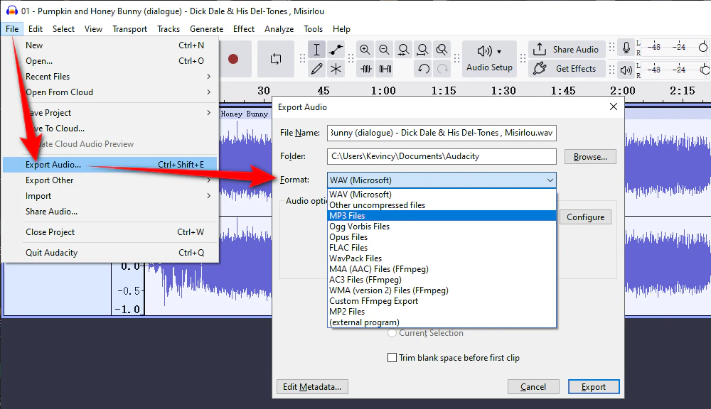 Using Audacity