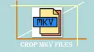 Crop MKV Files