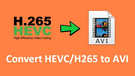 HEVC/H265 to AVI