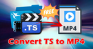 Convert TS to MP4