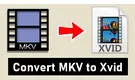 MKV to Xvid