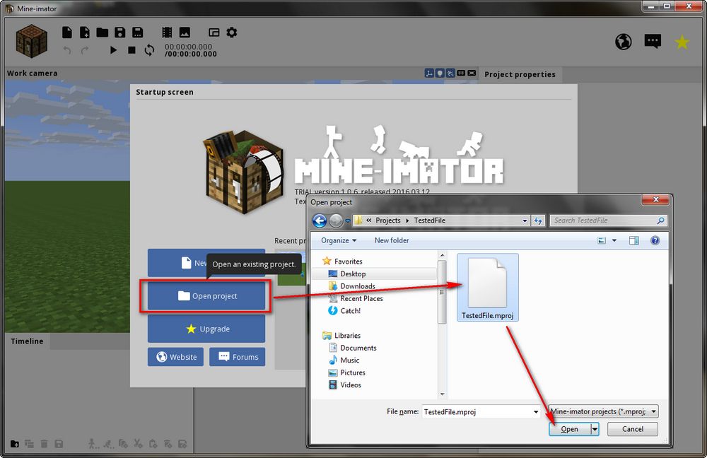 MPROJ to MP4 Converter