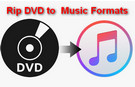 Put Music Videos on DVD