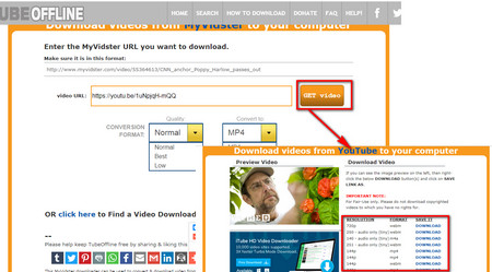 Online MyVidster Converter