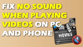 Video Has No Sound