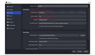 OBS Streaming Settings of Output