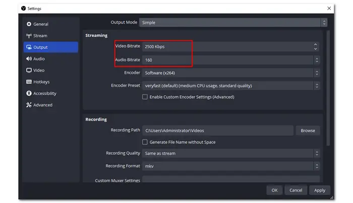 OBS Streaming Settings of Output