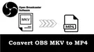 OBS MKV to MP4