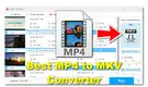 Best MP4 to MKV Converter