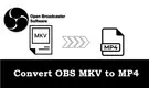 OBS MKV to MP4