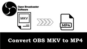 OBS MKV to MP4