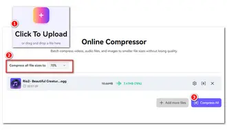 Media.io OGG Compressor