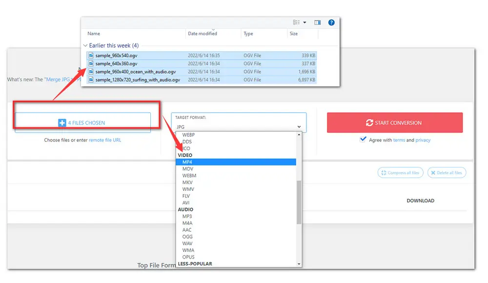 Batch Converting OGV Files